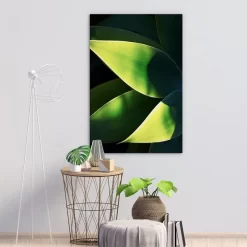 Abstract Agave -Art Mural Shop wall art prints 227190602 lifestyle min