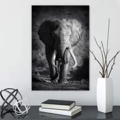 Elephant Bull -Art Mural Shop wall art prints 46494334 lifestyle min